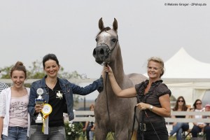 KB Zento Gold Champion Kauber PLatte 2014 - picture by Zoomperformance, all rights reserved.